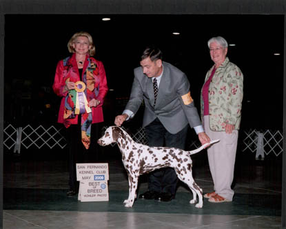  Champion Fyrehouse Fiona 2009 (at 11 months)              